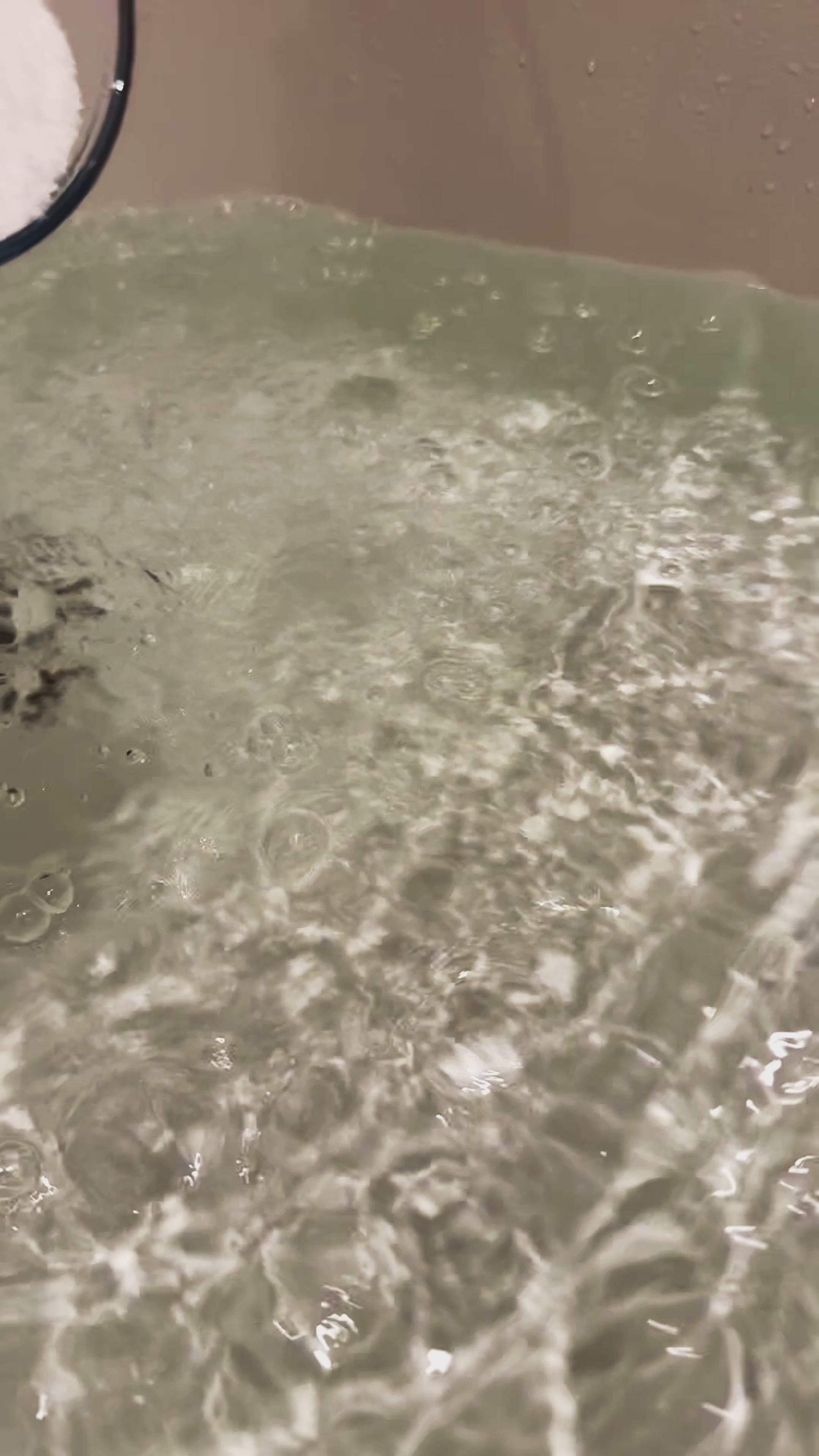 Capitalism Relief | Eucalyptus Peppermint and Menthol Luxury Fizzy Epsom Salt Mix